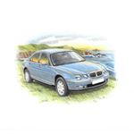 Rover 75 Saloon up to 2004 Personalised Portrait in Colour - RP1544COL